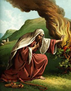 The Burning Bush