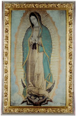 Our Lady of Guadalupe